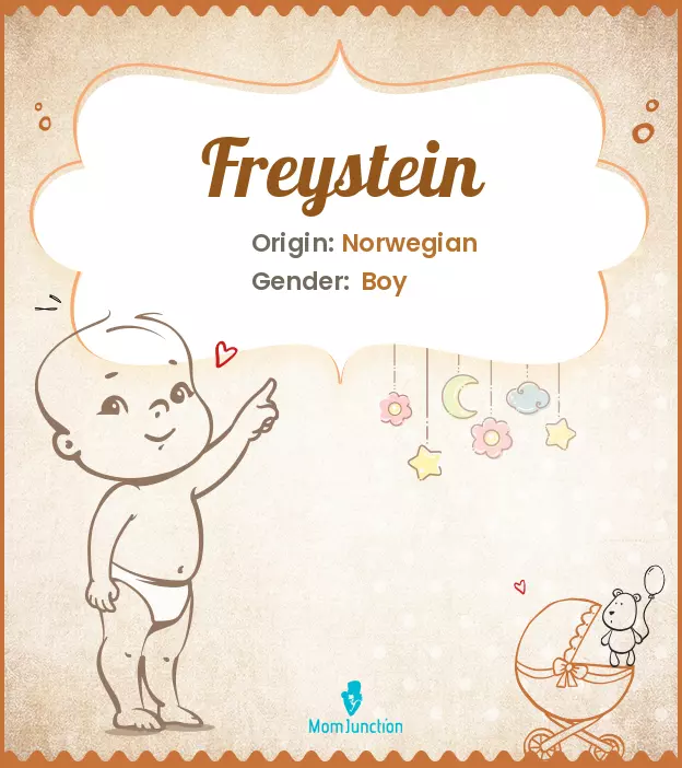 Freystein_image