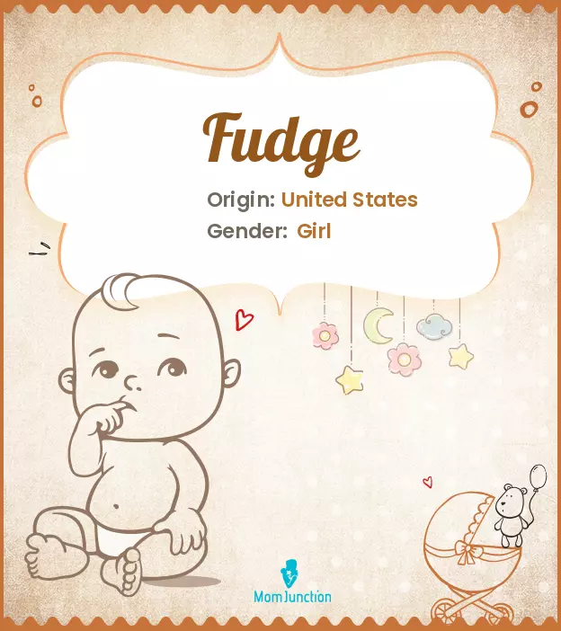 fudge_image