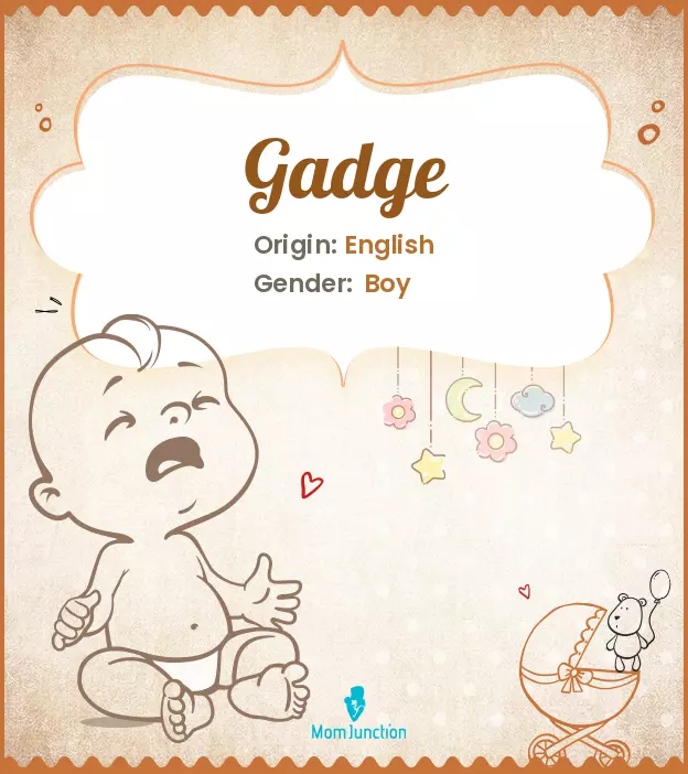 Explore Gadge: Meaning, Origin & Popularity_image