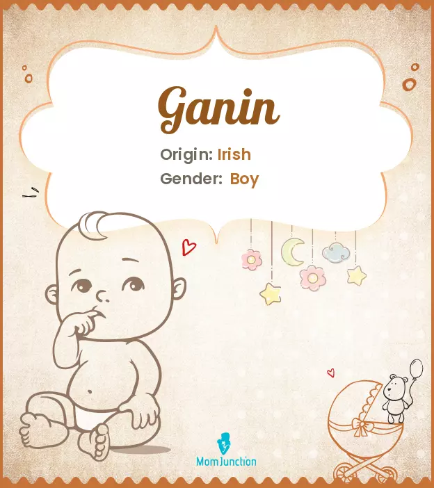 ganin_image