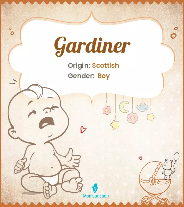 Explore Gardiner: Meaning, Origin & Popularity | MomJunction