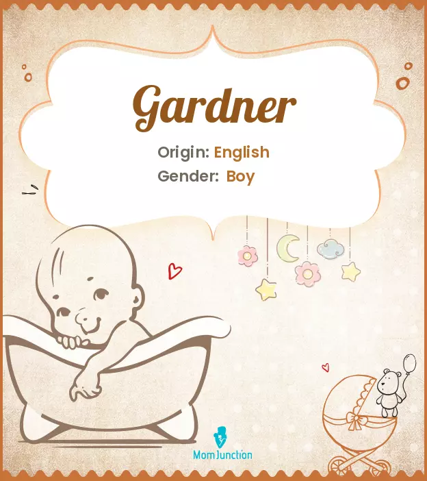 Explore Gardner: Meaning, Origin & Popularity | MomJunction