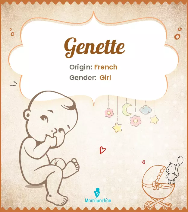 Explore Genette: Meaning, Origin & Popularity | MomJunction