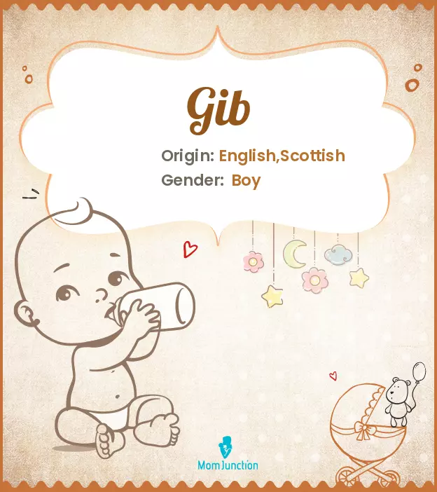 Explore Gib: Meaning, Origin & Popularity | MomJunction