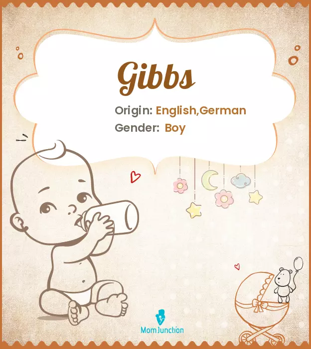 Explore Gibbs: Meaning, Origin & Popularity_image