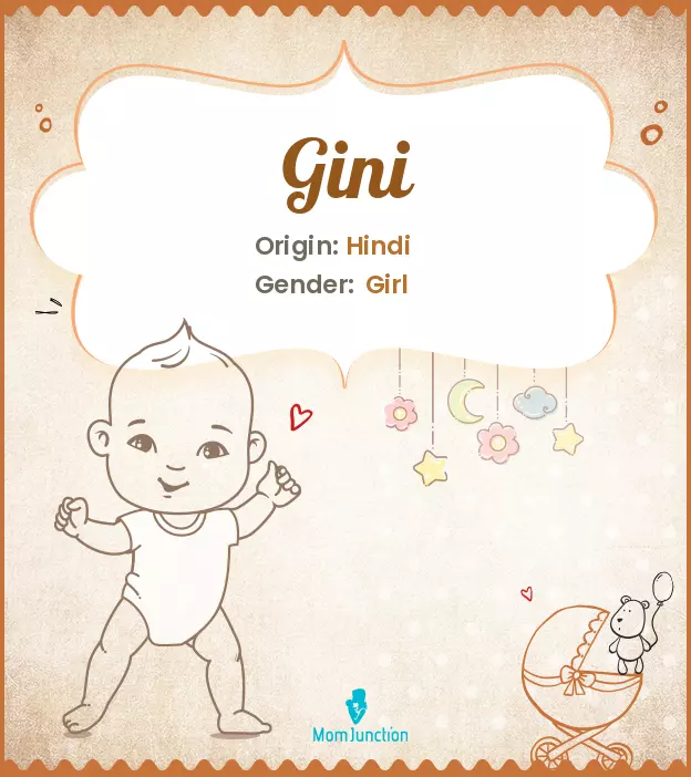 Gini Name Meaning, Origin, History, And Popularity | MomJunction