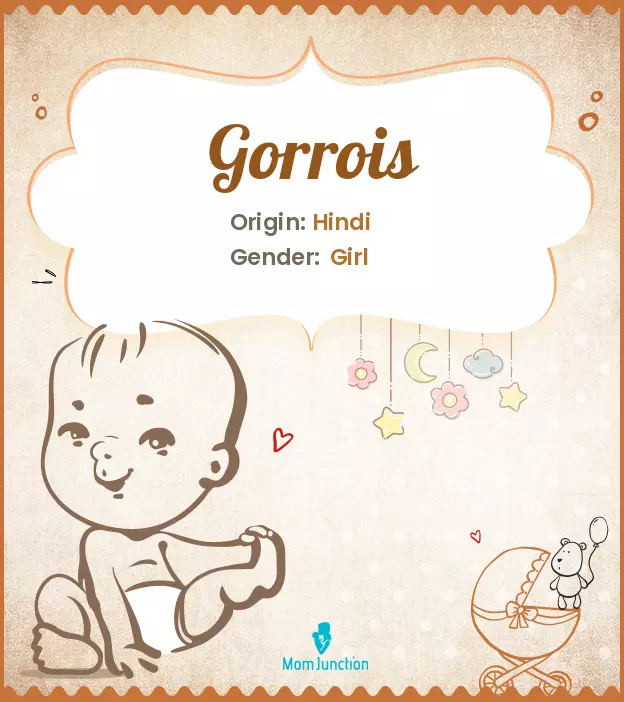 gorrois_image