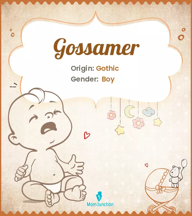 Explore Gossamer: Meaning, Origin & Popularity | MomJunction