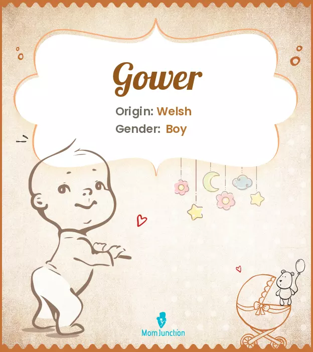 Explore Gower: Meaning, Origin & Popularity_image