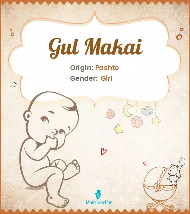 Explore Gul Makai: Meaning, Origin & Popularity_image