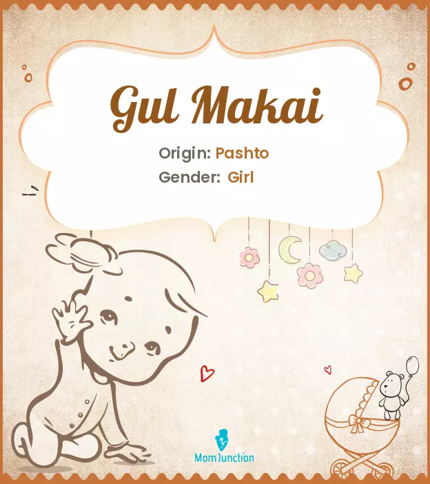 Gul Makai_image