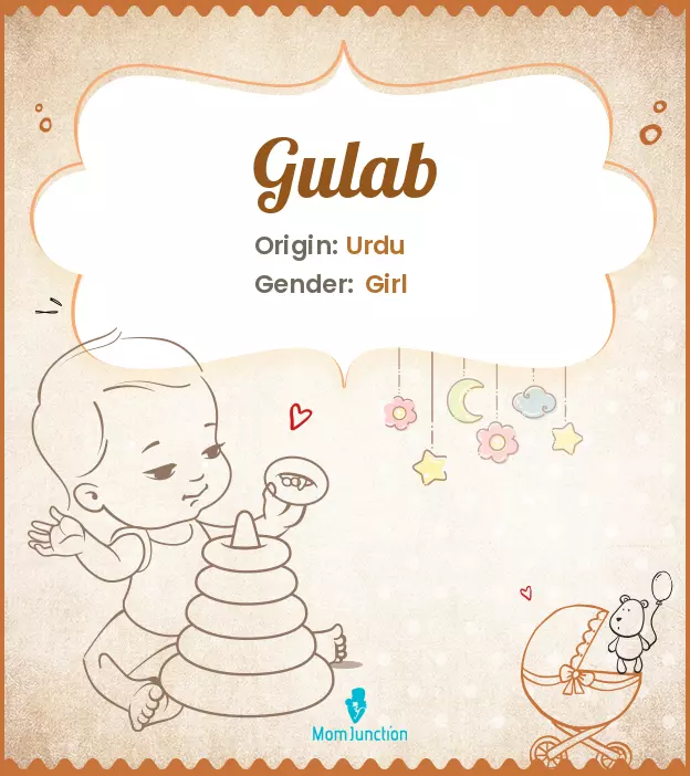 gulab