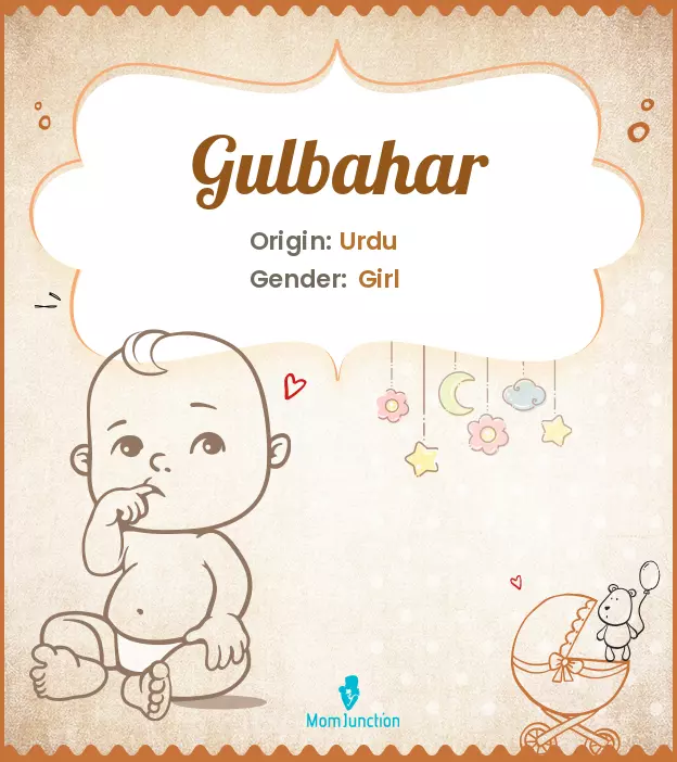 gulbahar_image