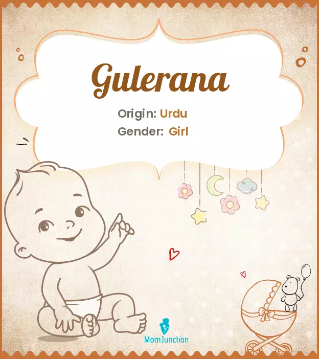 gulerana_image