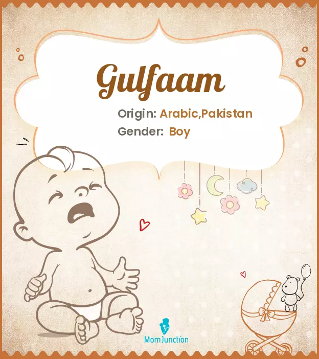 Gulfaam_image