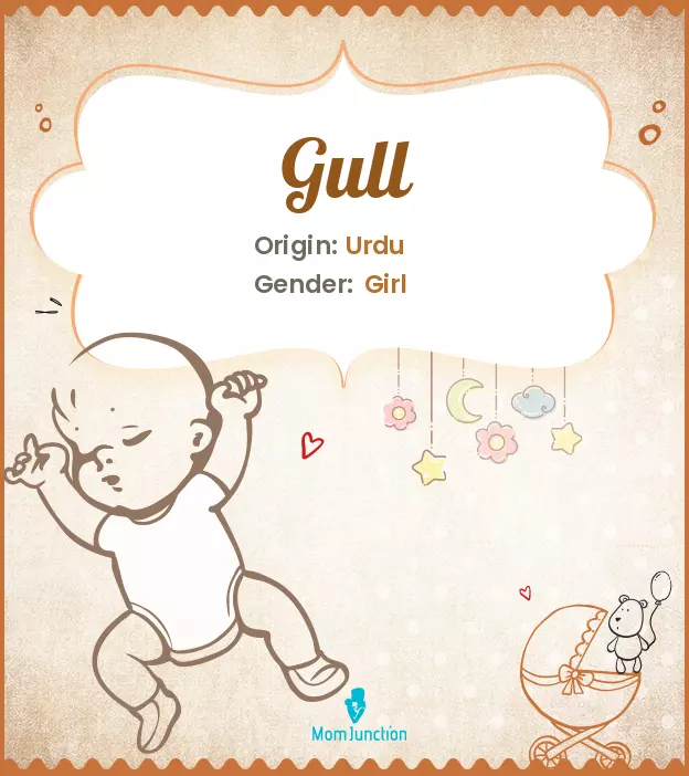 Explore Gull: Meaning, Origin & Popularity | MomJunction