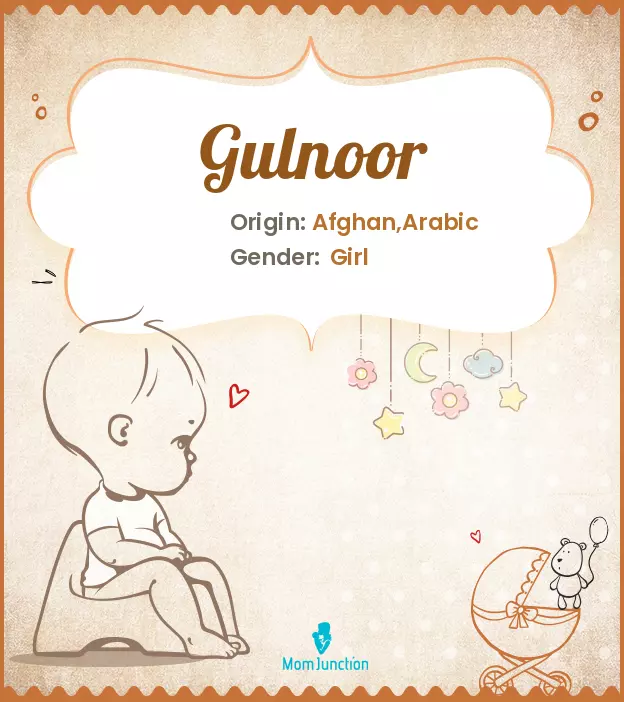 Gulnoor_image