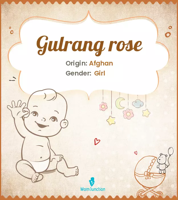 Gulrang rose_image