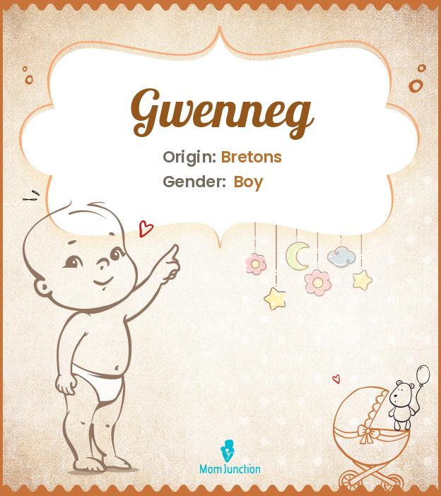 133 Breton Baby Names From The Land Of Legends_image