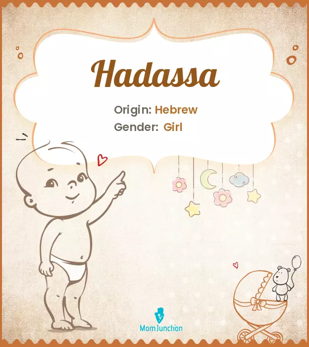 Explore Hadassa: Meaning, Origin & Popularity | MomJunction