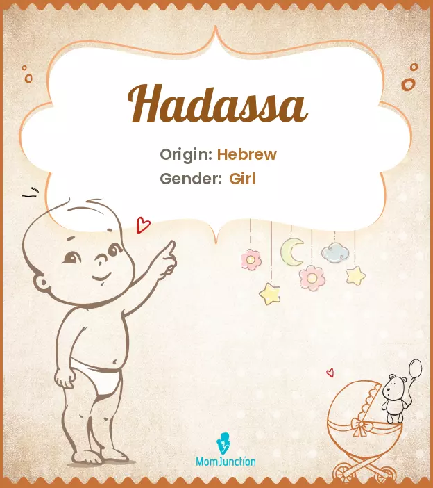 Explore Hadassa: Meaning, Origin & Popularity_image