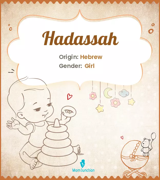 hadassah: Name Meaning, Origin, History, And Popularity ...