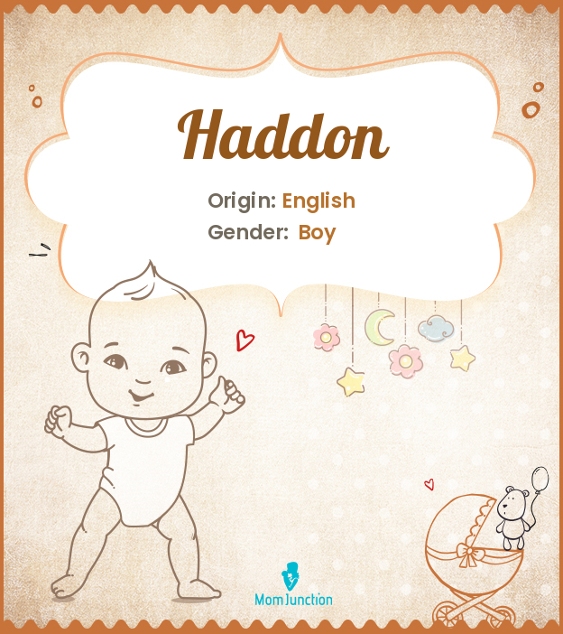 haddon