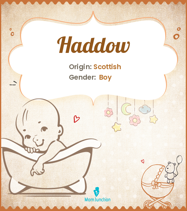 Haddow