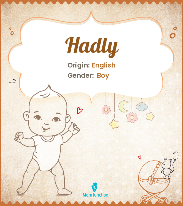 hadly