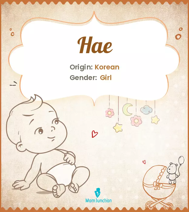 Explore Hae: Meaning, Origin & Popularity_image