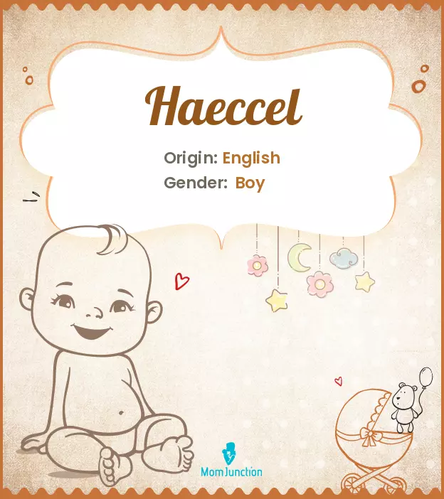 haeccel_image