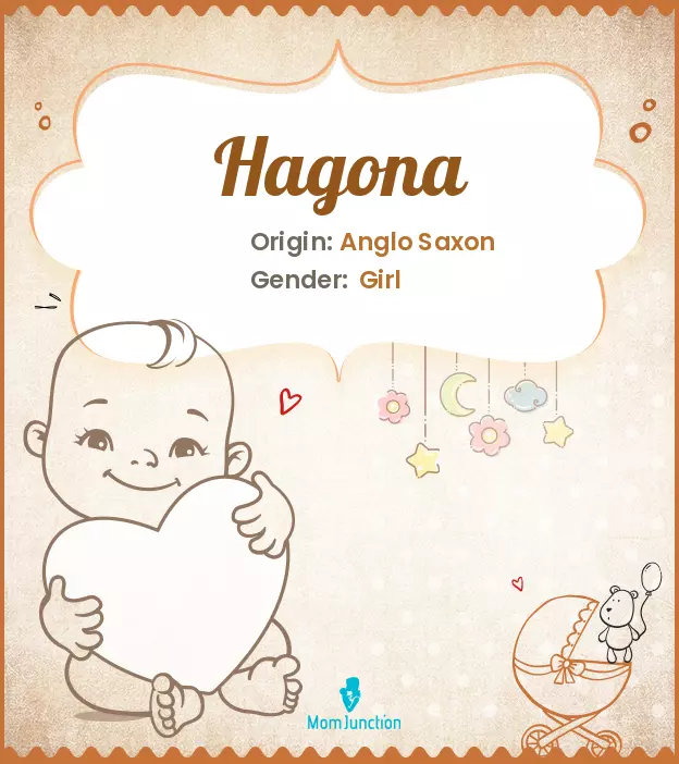 hagona_image