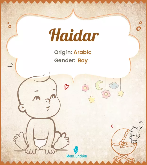 Explore Haidar: Meaning, Origin & Popularity | MomJunction