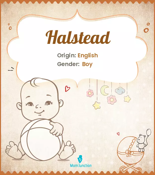 Explore Halstead: Meaning, Origin & Popularity | MomJunction