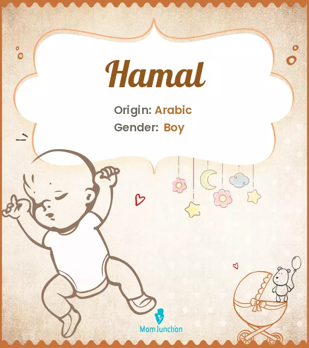 Explore Hamal: Meaning, Origin & Popularity | MomJunction