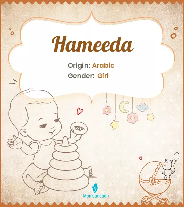 Explore Hameeda: Meaning, Origin & Popularity_image