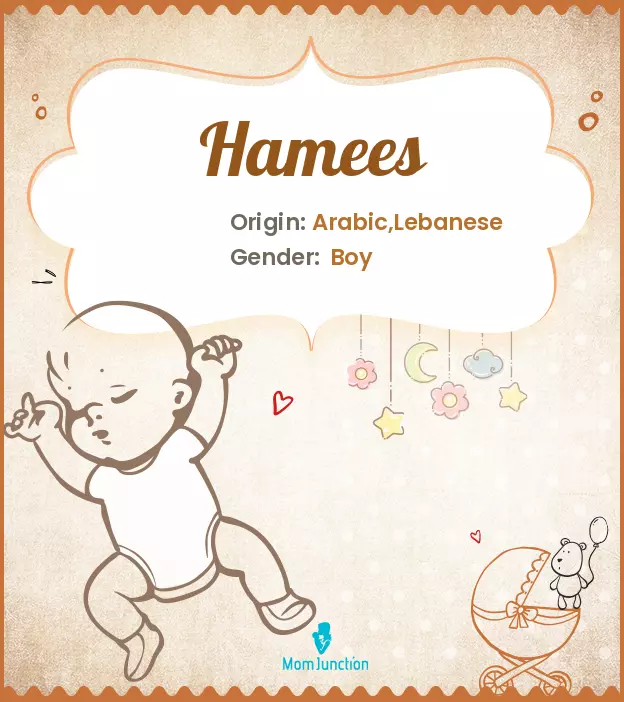 Explore Hamees: Meaning, Origin & Popularity | MomJunction