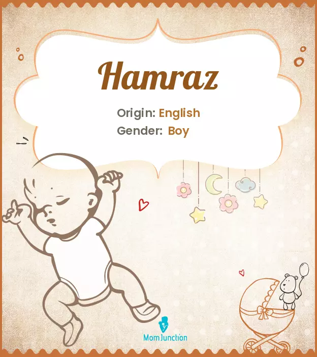 Explore Hamraz: Meaning, Origin & Popularity | MomJunction