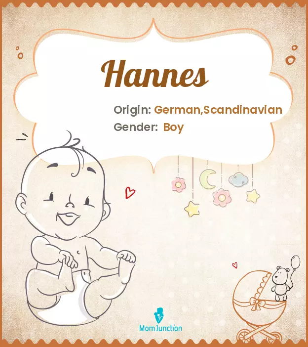 Explore Hannes: Meaning, Origin & Popularity | MomJunction