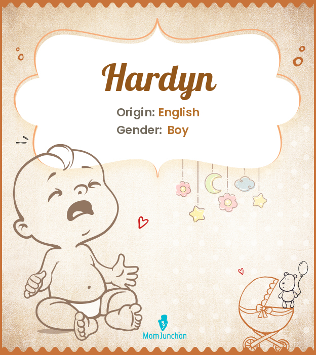 hardyn