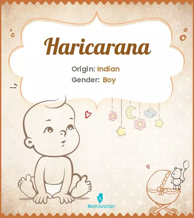 Haricarana_image