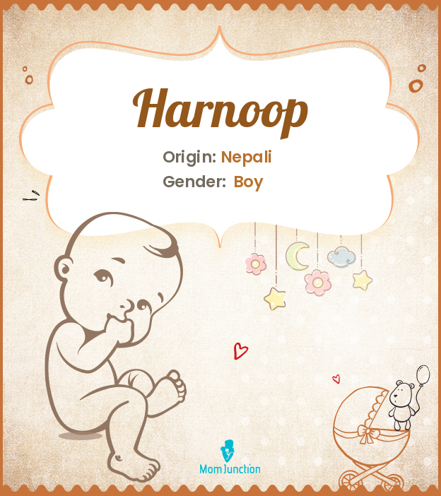 Harnoop