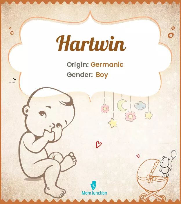 Hartwin_image