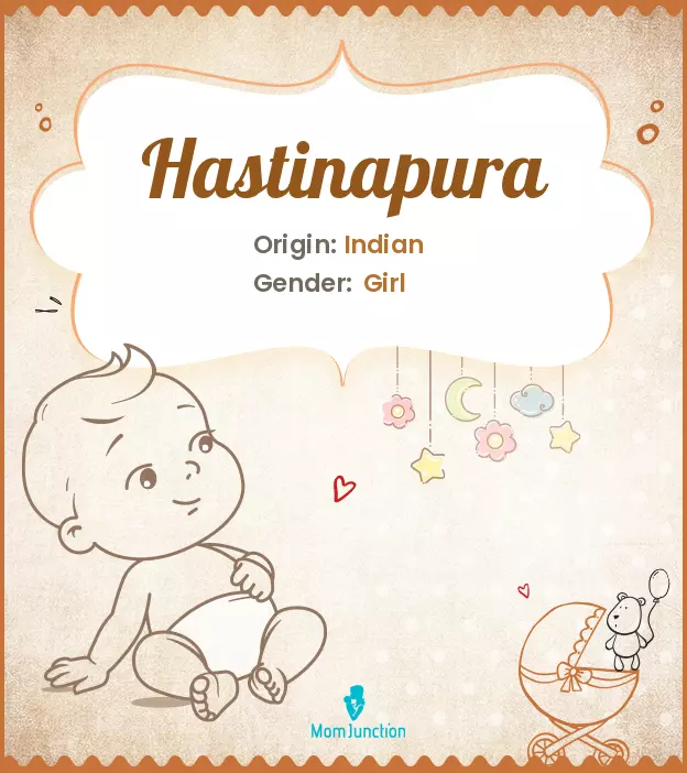 Hastinapura_image