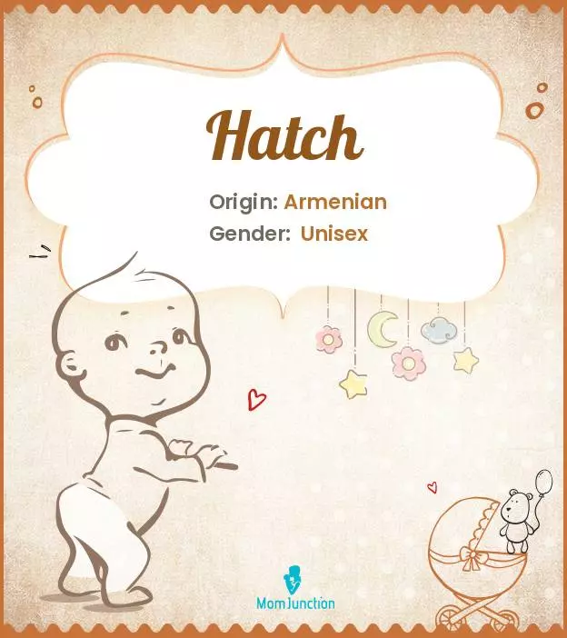 Explore Hatch: Meaning, Origin & Popularity | MomJunction