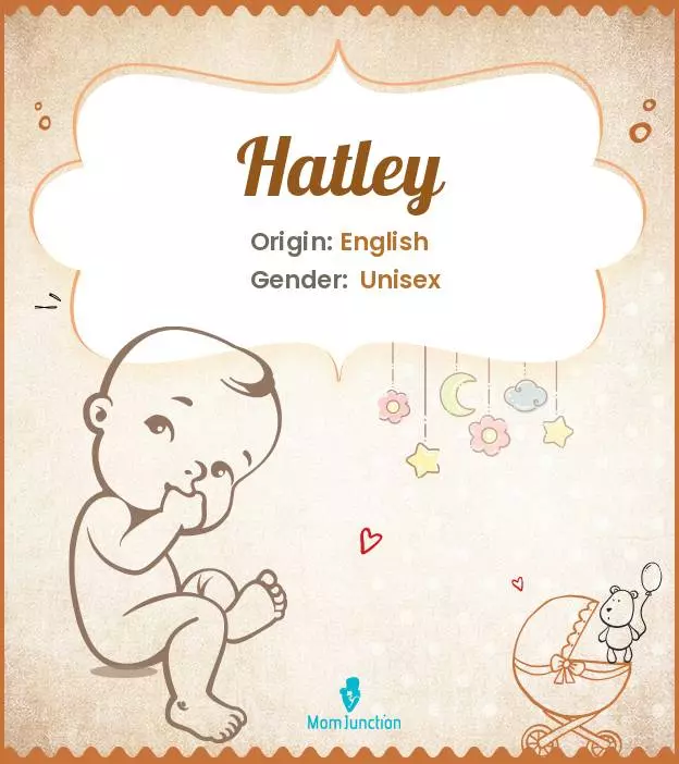 Explore Hatley: Meaning, Origin & Popularity_image