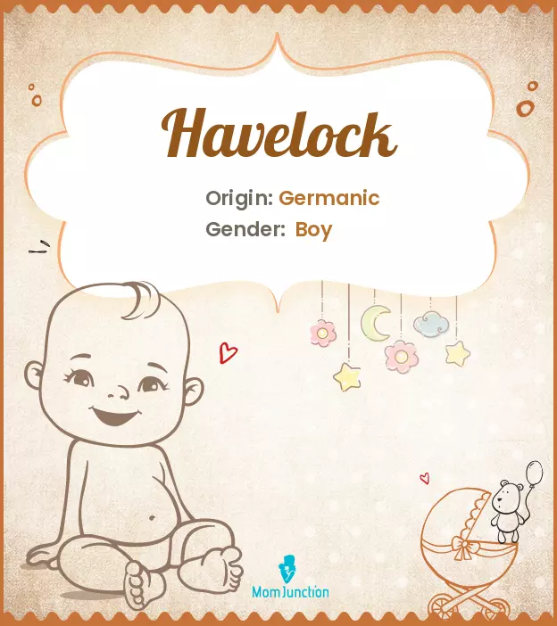 Explore Havelock: Meaning, Origin & Popularity | MomJunction