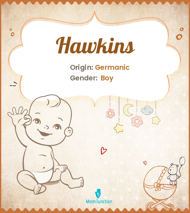 Explore Hawkins: Meaning, Origin & Popularity_image