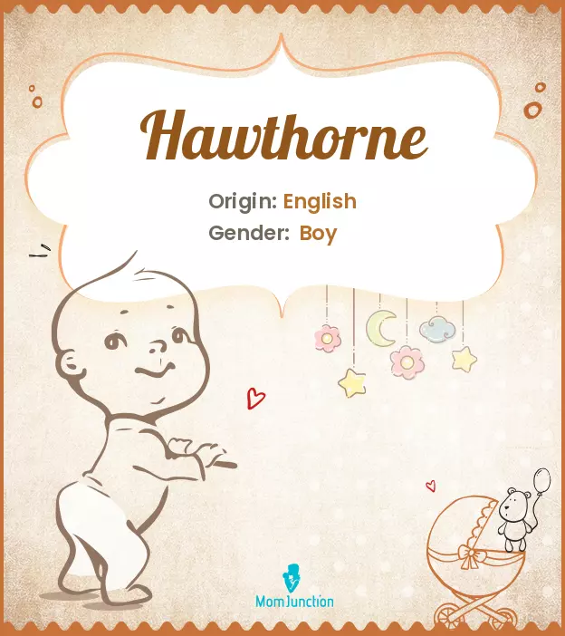 Explore Hawthorne: Meaning, Origin & Popularity | MomJunction