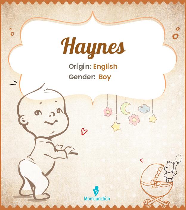 Explore Haynes: Meaning, Origin & Popularity_image